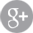Google+