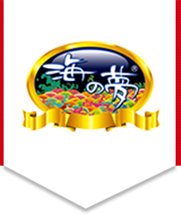 SHIXIA HOLDING