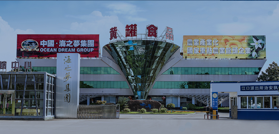 公司简介